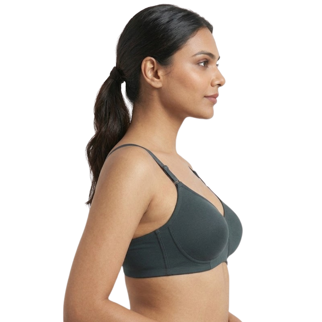 BK 5 Slim Pad Seamless Wirefree Padded T-Shirt Bra in B Cup - Image 14